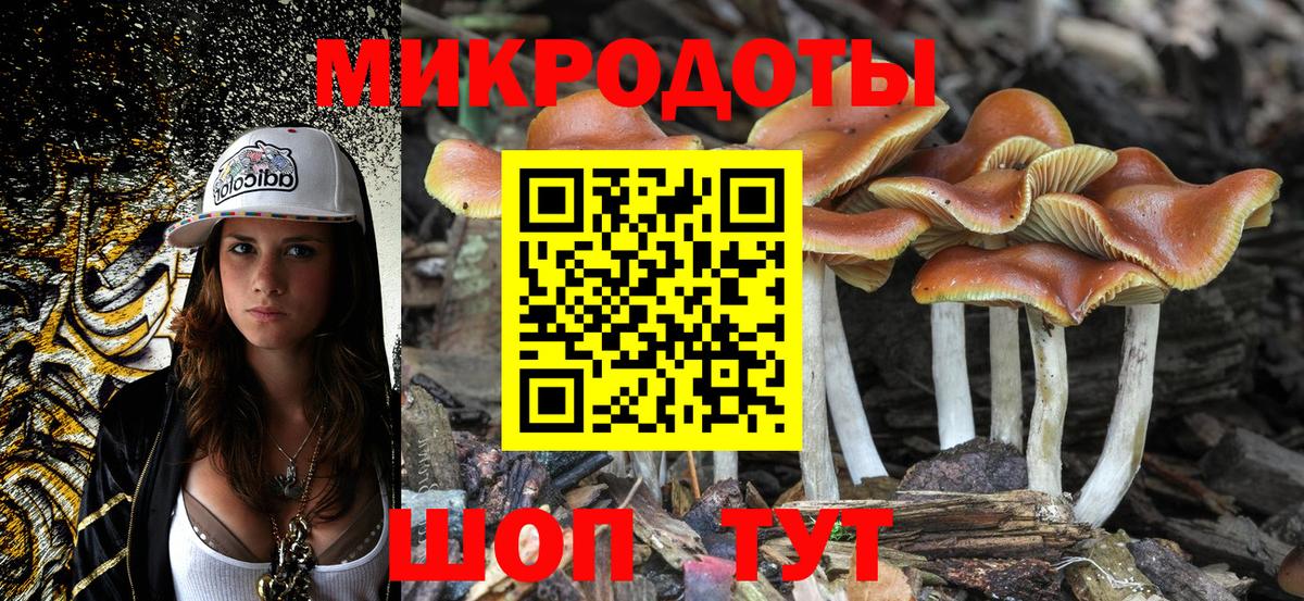 Псилоцибиновые грибы прущие грибы Губкин